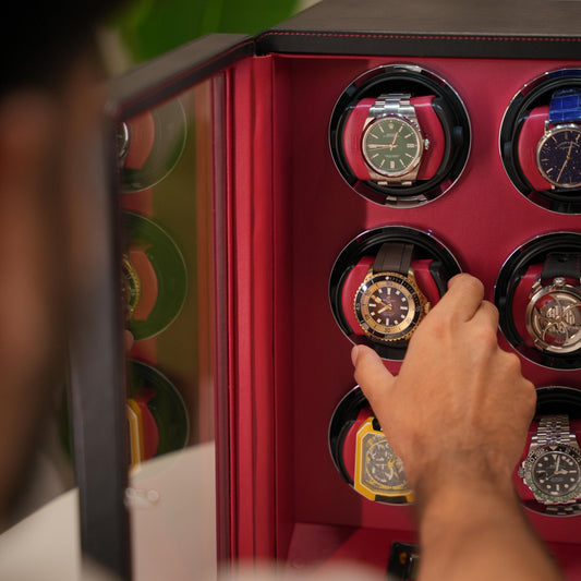 Scarlet Vault: 6-slot Watch Winder